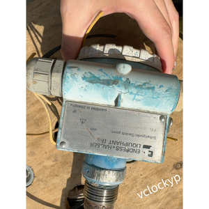 Endress+Hauser FTL361 RGN2A14L Liquiphant Level <b>Switch</b> <b>Used</b> - Product Image 1