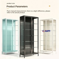 Vitrine en verre avec cadre en métal de style nordique, vitrine transparente pour figurines d'action, pour meubles design