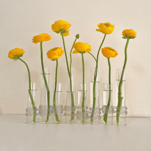 Transparent Glass Hydroponic <b>Vase</b> Set For Home Decor And Floral Arrangements With Water Culture Design - Product Image 2
