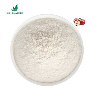 Bán buôn số lượng lớn giá <span class=keywords><strong>Apple</strong></span> Cider Vinegar bột ngay lập tức tập trung tự nhiên hữu cơ nước táo bột - Product Image 2