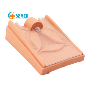 Vrouwelijk Vagina Anatomisch Model & Iud Simulator, Gynaecologische Trainingsmodel Anticonceptie Begeleiding Model Intra-Uteriene Apparaat Iud - Product Image 1