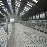 Estructura de acero para ganado, granja de ovejas, cobertizo de cabra/ganado, construcción de cobertizo, 2022