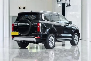 Nuevo Auto Híbrido Negro <span class=keywords><strong>Tank</strong></span> <span class=keywords><strong>500</strong></span> Hi4-T Modelo 2026 2.0T Hi4-T Edición Inteligente 2.0T 252 Caballos de Fuerza L4 SUV Híbrido Enchufable Chino - Product Image 2