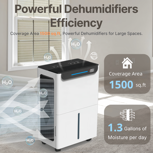 Máy hút ẩm không khí công suất 6L/ngày mới về, dùng cho nhà ở và văn phòng - Product Image 4