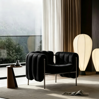 Fauteuil simple Tenghang moderne et minimaliste en velours avec structure en acier inoxydable, style de designer de luxe léger pour salon et loisirs