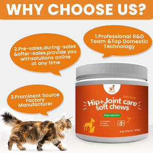 Eco-Friendly Soft Chews Dog Hip &amp; Joint Supplement <strong>Glucosamine</strong> &amp; Chondroitin Arthritis Pain Relief Pet Health Care &amp; Supplements - Product Image 4