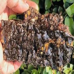 Highly in Demand Outstanding Quality Pure and <b>Natural</b> Himalayan <b>Shilajit</b> Stone Resin at Affordable Market Price - Product Image 3