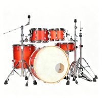 Customizable 5-Piece Professional Metal Drum Set with Adjustable Heavy Duty Die Cast Hoops Durable Percussion Instruments