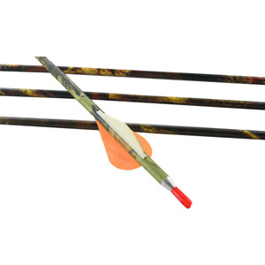 ออกแบบโลโก้สำหรับธนูครอสโบว์ - Product Image 6