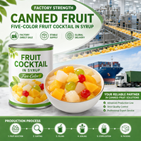 Tropische Fruitcocktail Gebakken 850g Druif Kers Ananas HACCP OEM ODM Bulk Export Private Label Groothandel Leverancier