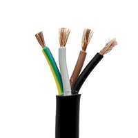 Kabel RVV Fleksibel VERIBEST PVC Konduktor Tembaga 2 Inti 1.5mm 2.5mm 300V/500V Bersertifikasi CCC CE untuk Penggunaan Bawah Tanah