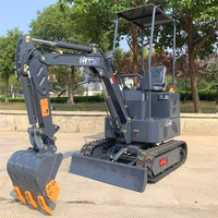 Mini machine d'excavatrice Mini moteur de ferme de chenille hydraulique Excavatrice de moteur de Kubota de 1 tonne