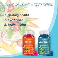 Complément alimentaire OEM/ODM Fruits et Légumes – 45 Gummies aux Fruits et Légumes, Vitamines pour Adultes et Enfants, Forme posologique : Bonbons Gommeux