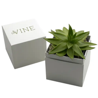 Boîte de papier d'emballage de plante cadeau vide personnalisée pour plantes succulentes