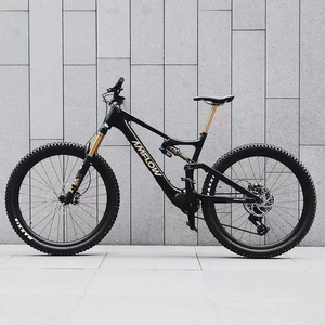 Bicicleta Eléctrica de Montaña Amflow PL Carbon 800Wh con Cuadro de Carbono para Senderos de Montaña, 2025 - Product Image 1