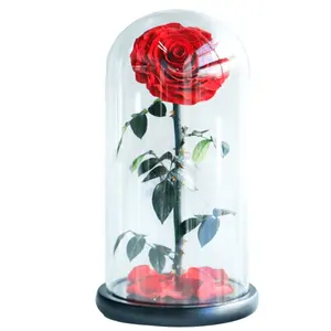 Penutup bunga dekorasi tanaman asli kelas 15*30cm, mawar abadi merah selamanya diawetkan mawar dalam kubah kaca
