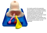 Simulador avanzado de intubación traqueal infantil, modelo de laboratorio, maniquí de entrenamiento de vías respiratorias para gestión de ciencias médicas para niños