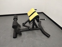 Banc d'extension du dos de gymnastique pour hommes Chaise romaine