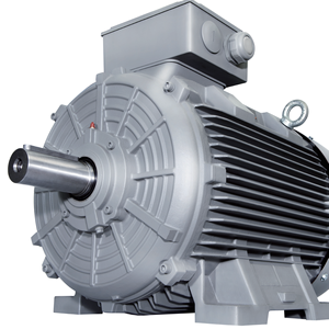 Moteur industriel Innomotics série IE5 1LE8005 triphasé 50Hz certifié ISO9001/CCC avec une vitesse de 1500 tr/min IE5 Innomotics - Product Image 4