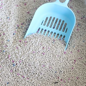 Eco-Friendly 10L <span class=keywords><strong>Cat</strong></span> <span class=keywords><strong>Litter</strong></span> Bentonite Areia e Tofu nó rápido compacto com uma variedade de opções de fragrâncias Pet Supplies - Product Image 3