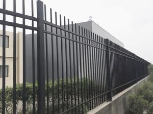 Pannelli di Recinzione Solidi in Metallo di Ferro per Giardino Esterno Economici Barre Decorative in Acciaio per la Casa Pannelli in Ferro Battuto Recinzione Metallica - Product Image 3