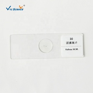 Microscoop Preparaten Hot Sale 10 stuks Gemengde Verschillende Schimmels Microbiologie Preparaten - Product Image 6