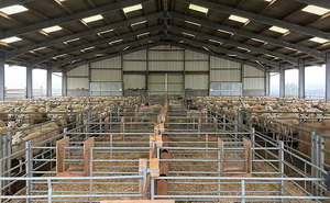 Construcción de estructura de acero para casa prefabricada de cabras y cobertizo de ovejas Kits prefabricados de Barndominium - Product Image 3