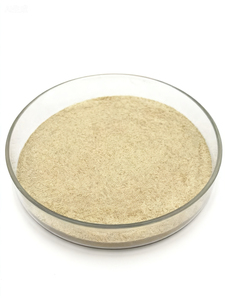 ส่วนผสมเม็ดกลูโคซามีน HCl คอนดรอยตินแบบบีบอัดได้ ราคาประหยัด - Product Image 4