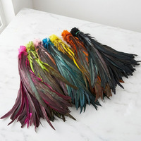 Plumes de coq en gros 35-40 cm (14-16 po) – Plumes de queue de coq en vrac, teintes et blanchies, couleur naturelle, pour costumes de carnaval et artisanat