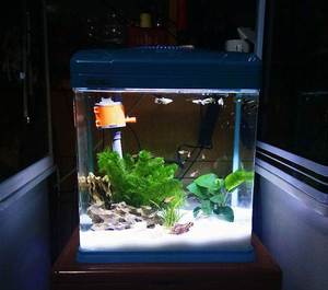 Fabriek Prijs Groothandel Clear Kleine Glazen <span class=keywords><strong>Aquarium</strong></span>, Desktop Hang Muur Vis Kom <span class=keywords><strong>Aquarium</strong></span> @ - Product Image 6