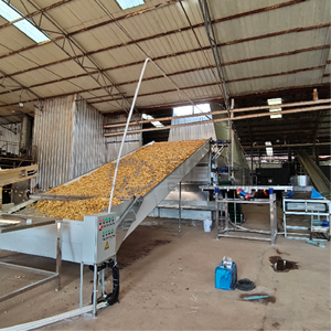 OEM continuous Energy-saving equipment fruit <b>mesh</b> belt dryer Longan dryer dried fruit processing - Product Image 4