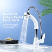 Robinet de lavabo moderne à monter sur comptoir, mitigeur monocommande avec douchette extractible, finition chromée, cartouche céramique, acier inoxydable, bec orientable à 360°