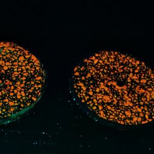 Reloj de Lujo 2023 con Esfera Luminosa de Piedra Volcánica, Acero Inoxidable 316L Esmerilado, Movimiento Mecánico Japonés 8215, Resistente al Agua, con Logotipo Personalizado - Product Image 4