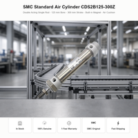   Cylindre pneumatique standard CDS2B125-300Z, alésage 125 mm, course 300 mm, coussin d'air intégré, aimant intégré, vente en gros, fournisseur d'usine
