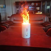 Cheminée électrique portative de brûleur d'eau du dessus 3D de table de bol de foyer pour l'affichage à LED d'hôtels
