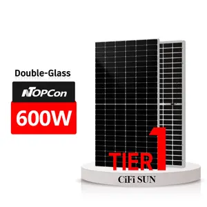Panel surya kaca ganda Eu 600 watt 650w 700w tipe n Panel fotovoltaik biwajah 1000w Modul PV Panel surya Topcon