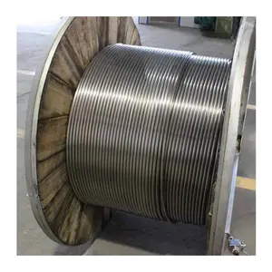 Tubo de bobina de acero inoxidable de 1 pulgada Intercambiador de calor Bobina de tubo de acero inoxidable helicoidal
