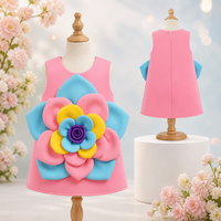 Robe de Fête d'Anniversaire pour Enfants, Boutique, avec Fleurs 3D Appliquées, Ligne A, Qualité Spectacle, Modèle Fillette