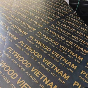 Contrachapado Recubierto de Película de 15 mm y 18 mm de Vietnam para Construcción, para Almacenes y Hoteles, Contrachapado Recubierto de Película de Alta Calidad Reutilizable - Product Image 1