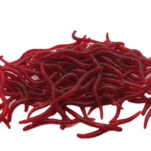 Ventes chaudes 2024 - Leurre de pêche en plastique souple pour garçons et filles, fabriqué en PVC durable - Product Image 1
