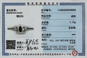 Reale Dell'argento Sterlina 925 Anelli di Aragorn di Barahir <span class=keywords><strong>LOTR</strong></span> Anello di Cerimonia Nuziale Per Gli Uomini Gioielli Appassionato di Cinema - Product Image 6