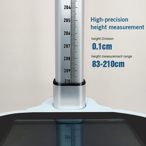 Prezzo di misurazione del peso corporeo della bilancia manuale e dell'altezza di buone prestazioni - Product Image 6