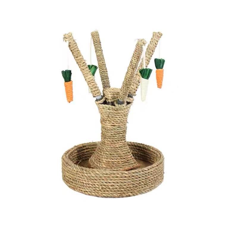 หัวไชเท้าสีแดงและสีขาวกับแชสซี-สีเหลือง