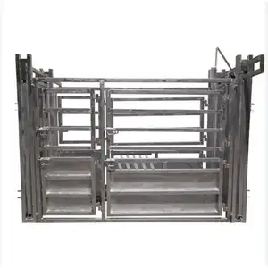 Factory Hot Sale Heavy Duty Steel Cattle Crush Cattle Squeeze Chute Stock Yard For Sale
