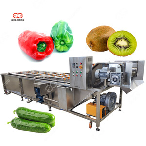 Gelgoog pepinos lavadoras processamento máquinas lavagem frutas e vegetais desidratação limpeza - Product Image 1