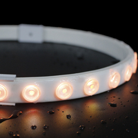 Tira de LED RGBW Flexible para Exteriores con Clasificación IP68, Resistente al Agua, para Pared, con Código DMX512 Programable, Cambio de Color, 5 Metros por Pieza