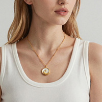 Collier ras du cou sportif en acier inoxydable incrusté de Phénix, plaqué or 18 carats, chaîne à maillons, pendentif, bijoux de mode inaltérables, modèle P035
