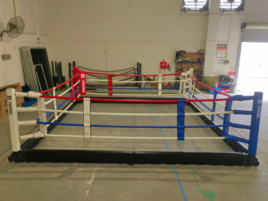 Fightbro RFD Anneau <span class=keywords><strong>de</strong></span> <span class=keywords><strong>boxe</strong></span> pliable 3x3 - Product Image 3