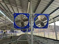 50/54 Zoll Rinder-Kühlventilator Industrieller Axialventilator für Milchviehbetriebe zur Belüftung & Hitzebelastungsreduzierung