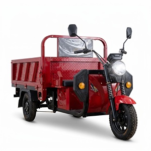 Triciclo Eléctrico de 1000W, 400kg de Carga Pesada, Plataforma Abierta, Motocicleta de Carga de 3 Ruedas para Transporte de Adultos y Entregas - Product Image 2